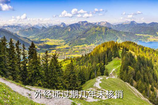 外經(jīng)證不核銷有什么后果嗎，外經(jīng)證忘記核銷怎么辦