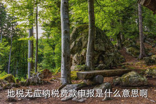 地稅無稅申報包括什么，地稅申報表無稅申報是什么意思我這個月要0申報是點(diǎn)擊