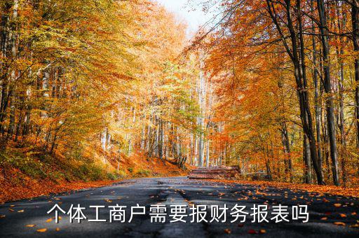 個體戶都需要申報什么表，個體工商戶需要報財務(wù)報表嗎