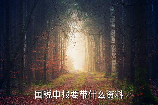 國稅注冊(cè)需要什么資料，國稅登記需要帶什么資料