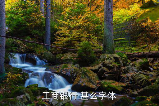 工商銀行用的是什么字體，中國工商銀行的標志里面的字母是什么字體