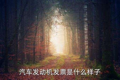 國稅出的機動車發(fā)票是什么樣的，汽車發(fā)動機發(fā)票是什么樣子