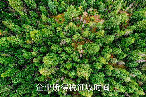 企業(yè)所稅的征收方式什么時候改，企業(yè)所得稅征收時間