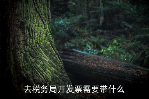 紹興市國稅購增值稅發(fā)票需要帶什么，到稅務局開增值稅專用發(fā)票帶什么
