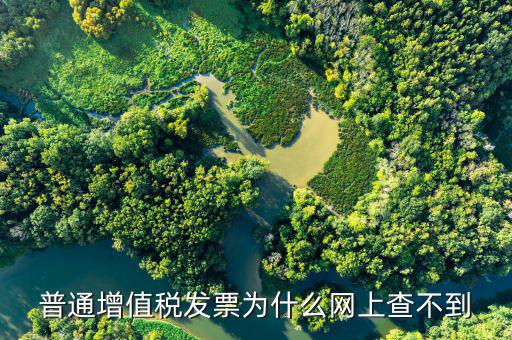 為什么查詢不到一般納稅人信息，國稅報稅為什么出現(xiàn)納稅人信息查詢失敗