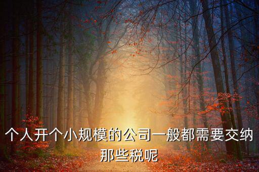 個人開辦水廠需要什么稅，自來水公司的水廠要交房產(chǎn)稅和土地使用稅嗎