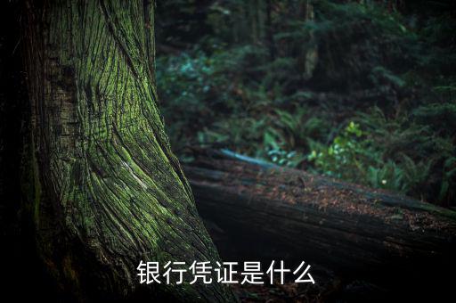 銀行劃款憑證是什么，銀行憑證是什么