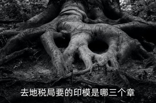稅務(wù)局原始印模是什么東西，去地稅局要的印模是哪三個(gè)章