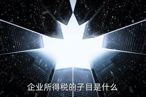 企業(yè)所得稅征收品目是什么，征收品目是什么