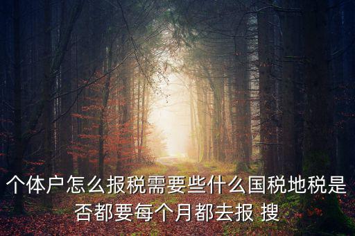 個(gè)體戶報(bào)稅都報(bào)什么，個(gè)體戶怎么報(bào)稅需要些什么國稅地稅是否都要每個(gè)月都去報(bào) 搜