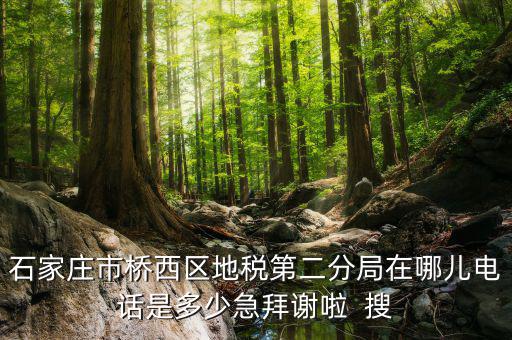 地稅二分局是做什么的，地稅科查局是做什么的