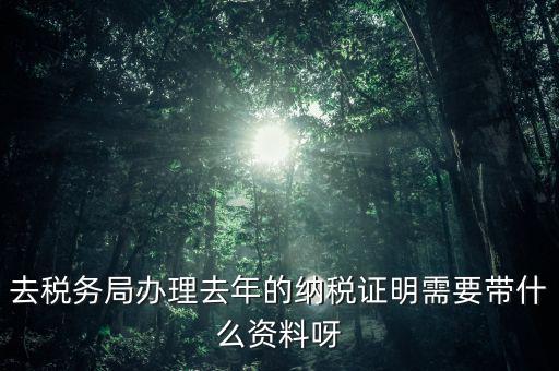 納稅證明要帶什么資料，要去地稅開個納稅證明要準備什么材料