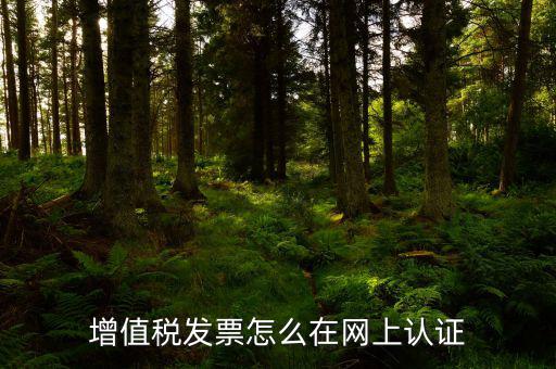 發(fā)票認(rèn)證需要什么軟件下載，國稅發(fā)票認(rèn)證需要準(zhǔn)備那些資料 到大廳辦的時(shí)候工作人員叫我拿U盤