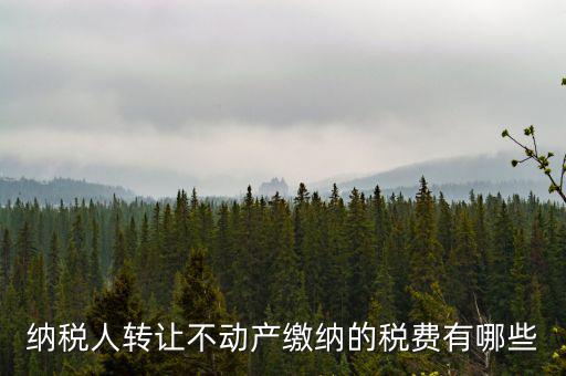 轉(zhuǎn)讓不動產(chǎn)交什么稅，納稅人轉(zhuǎn)讓不動產(chǎn)繳納的稅費有哪些