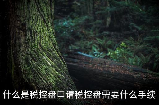 稅控盤制證是什么，去稅務(wù)局辦理稅控盤需要什么資料流程怎么走呢