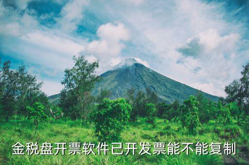 什么發(fā)票能進(jìn)行復(fù)制發(fā)票操作，如何將Excel中制作的發(fā)票專業(yè)發(fā)票復(fù)制到Word文檔中并且格式