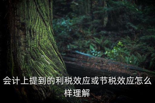 節(jié)稅效應(yīng)是節(jié)的什么稅，什么是節(jié)稅額
