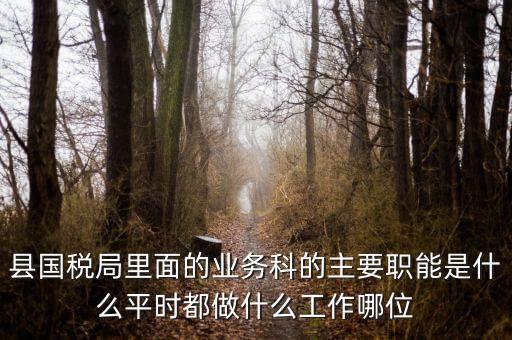 什么是稅政工作，縣國(guó)稅局里面的業(yè)務(wù)科的主要職能是什么平時(shí)都做什么工作哪位