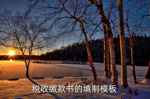 稅收繳款書字軌是什么，什么是文書字軌