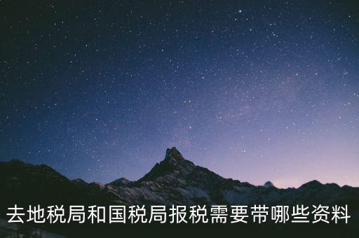 到國稅報稅需要什么，去地稅局和國稅局報稅需要帶哪些資料