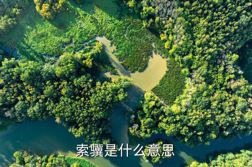 jsfapiaocn什么意思，索驥是什么意思