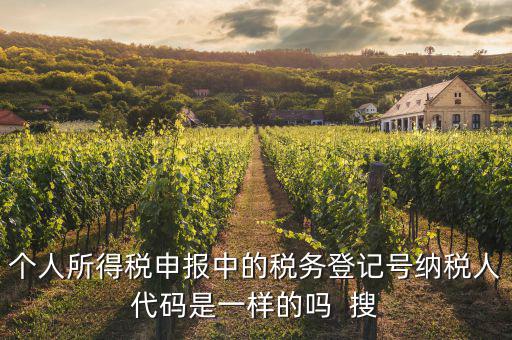 什么是個(gè)人稅務(wù)號(hào)，個(gè)人所得稅申報(bào)中的稅務(wù)登記號(hào)納稅人代碼是一樣的嗎  搜