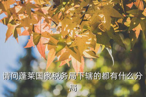 國(guó)稅局分局有什么，豐縣國(guó)稅局有幾個(gè)分局