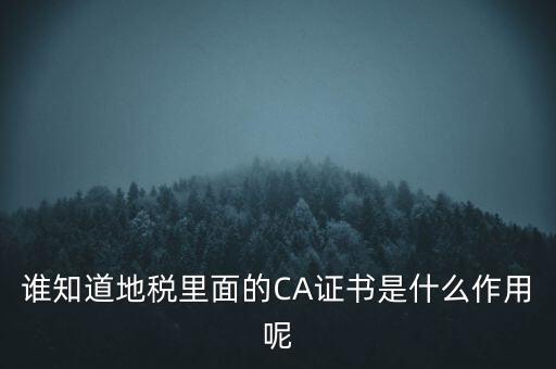 地稅的ca證書是什么，什么是聯(lián)通ca證書地稅ca證書