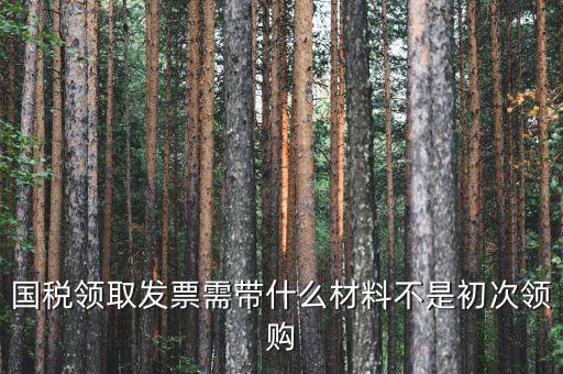 國稅領(lǐng)發(fā)票需要帶什么，去稅務(wù)局領(lǐng)發(fā)票需要帶什么資料去