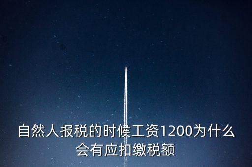 自然人報(bào)稅為什么，自然人辦稅服務(wù)平臺(tái)實(shí)名注冊(cè)的目的是什么