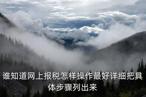 成品油消費(fèi)稅在什么系統(tǒng)申報(bào)，請(qǐng)教網(wǎng)上報(bào)稅步驟謝謝大家了