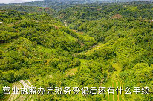 稅務(wù)登記以后需要什么，公司設(shè)立后辦理稅務(wù)登記要準備哪些資料