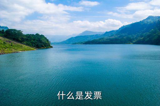默認(rèn)發(fā)票是什么，蘇寧天貓旗艦店默認(rèn)開(kāi)取什么發(fā)票