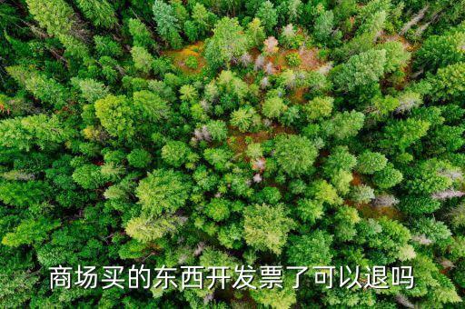 發(fā)票什么情況可以退回，商場買的東西開發(fā)票了可以退嗎