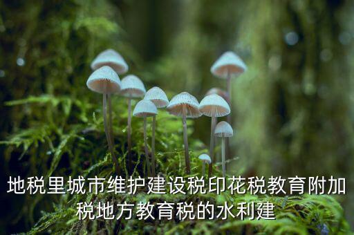 水利建設(shè)基金的計(jì)稅基礎(chǔ)是什么，計(jì)稅基礎(chǔ)是什么意思