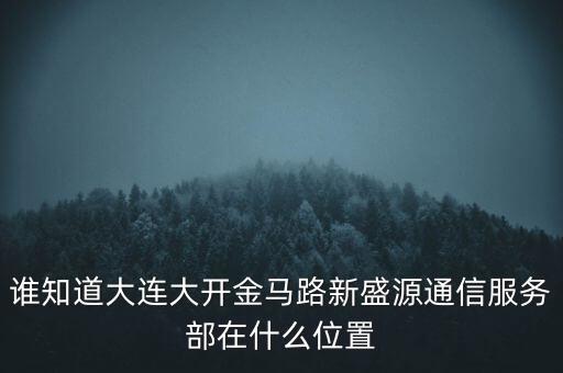 信息服務(wù)部可以叫什么地方，誰知道大連大開金馬路新盛源通信服務(wù)部在什么位置