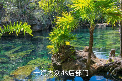 宋蘭去什么部門了，國(guó)家稅務(wù)總局的副局長(zhǎng)宋蘭身體很豐滿