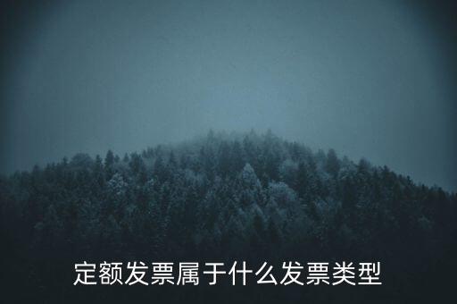 定額發(fā)票什么，河南省地稅定額發(fā)票怎么查詢