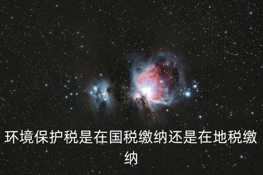 什么是環(huán)境保護(hù)稅納稅人，環(huán)境稅是什么意思