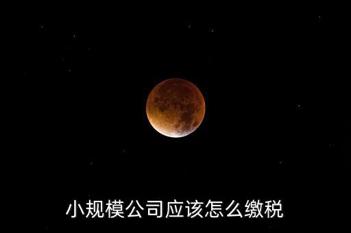 小規(guī)模公司按什么交稅嗎，一個小規(guī)模納稅公司國稅和地稅應(yīng)該都分別交什么稅