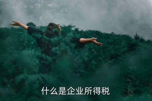 什么是企業(yè)所得稅率，什么是企業(yè)所得稅