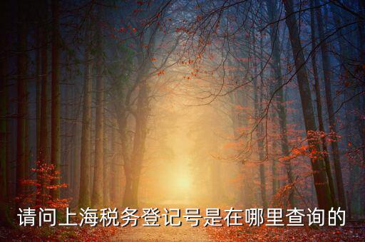 上海的稅務賬號是什么，請問上海稅務登記號是在哪里查詢的