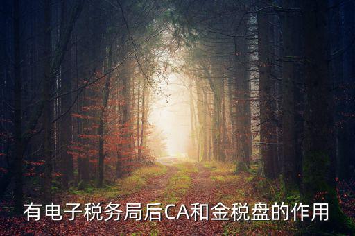 電子稅務(wù)局有什么用，有電子稅務(wù)局后CA和金稅盤的作用