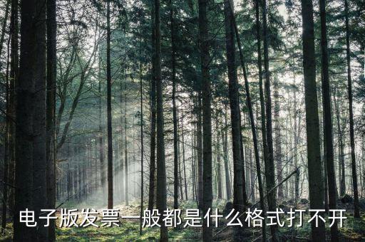 微發(fā)票助手是什么格式，exa是什么格式