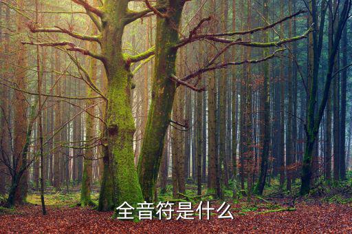 一戶式是什么，服裝SKU是指什么有什么實際應(yīng)用意義