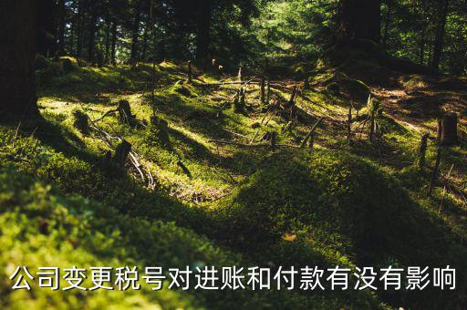 換稅號(hào)注意什么，公司變更稅號(hào)對(duì)進(jìn)賬和付款有沒(méi)有影響