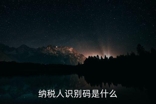 網(wǎng)上報(bào)稅納稅人識(shí)別碼是什么，納稅人識(shí)別碼是什么