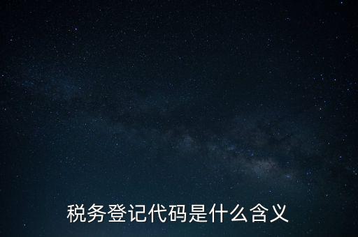 國稅發(fā)票認證登錄代碼是什么意思，國稅局發(fā)票軟件里用戶代碼和密碼是什么
