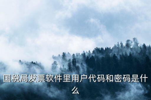 網(wǎng)上認證發(fā)票平臺密碼是什么樣的，國稅局發(fā)票軟件里用戶代碼和密碼是什么