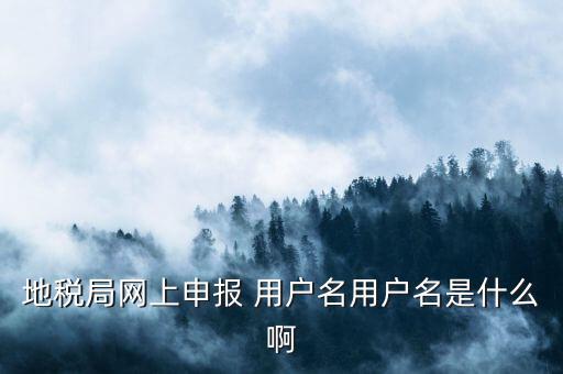 地稅注冊(cè)用戶名是什么，地稅申報(bào)的用戶名和密碼是什么